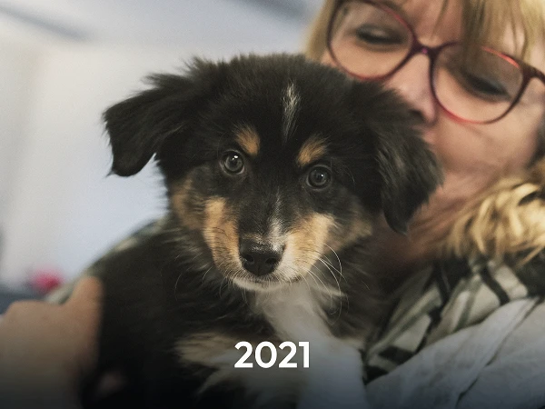 Ein Mensch hält einen kleinen, schwarzen und braunen Welpen in den Armen, während er ihn sanft anlächelt. Im unteren Bildbereich steht die Zahl „2021“.
