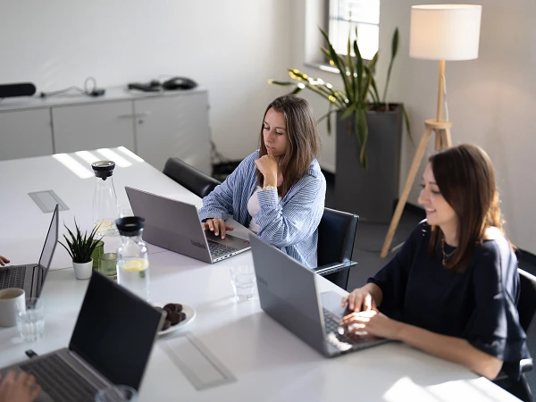Drei Personen sitzen an einem Konferenztisch und arbeiten an Laptops, wobei eine nachdenklich auf die Hände legt, während eine andere lächelt. Auf dem Tisch stehen Wasser, Gläser und eine kleine Pflanze. Im Hintergrund ist eine Stehlampe und ein großer Topf mit einer Pflanze sichtbar.