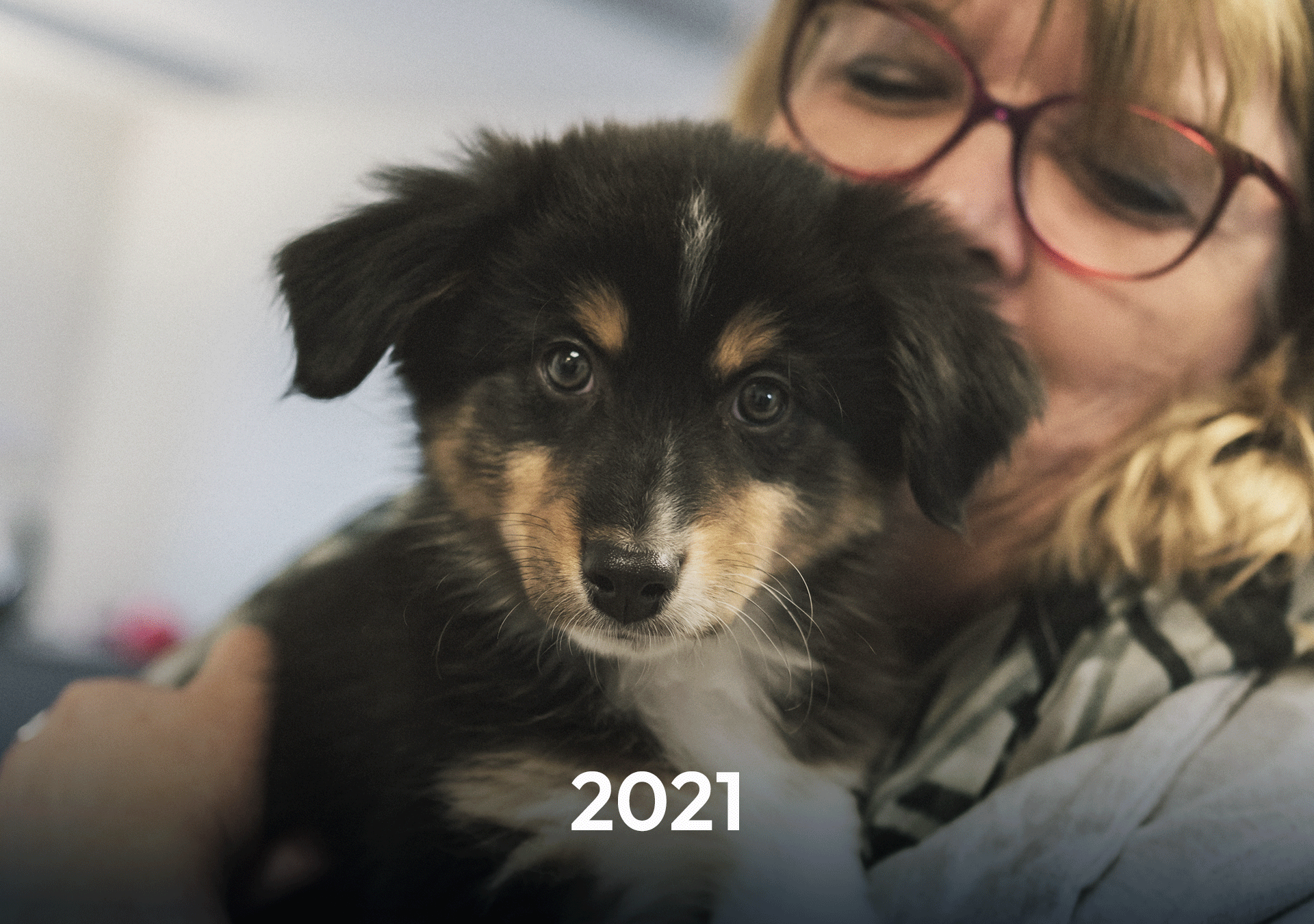 Ein Mensch hält einen kleinen, schwarzen und braunen Welpen in den Armen, während er ihn sanft anlächelt. Im unteren Bildbereich steht die Zahl „2021“.